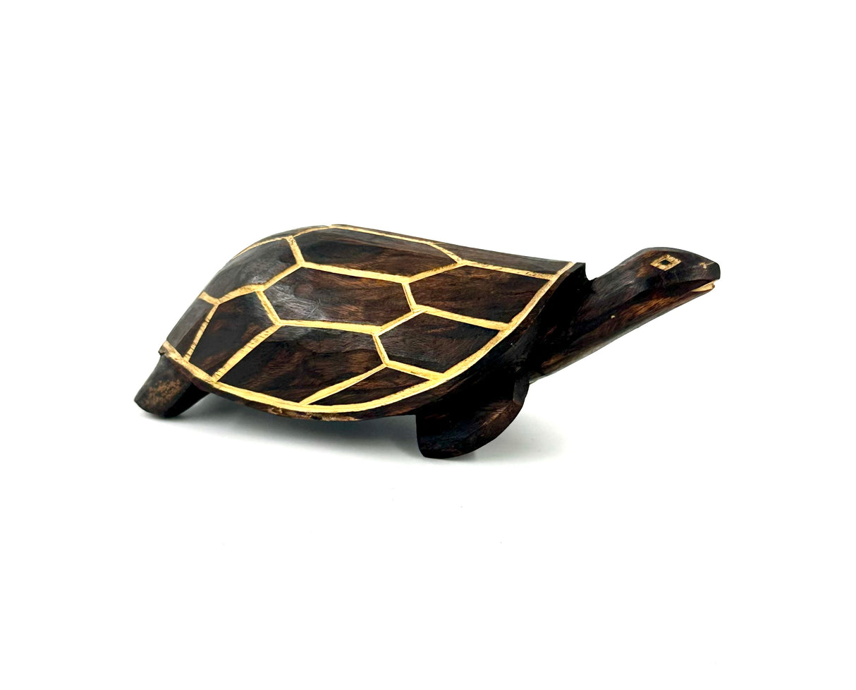 Ugandan Wood Turtle