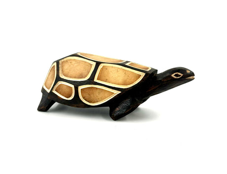 Ugandan Wood Turtle